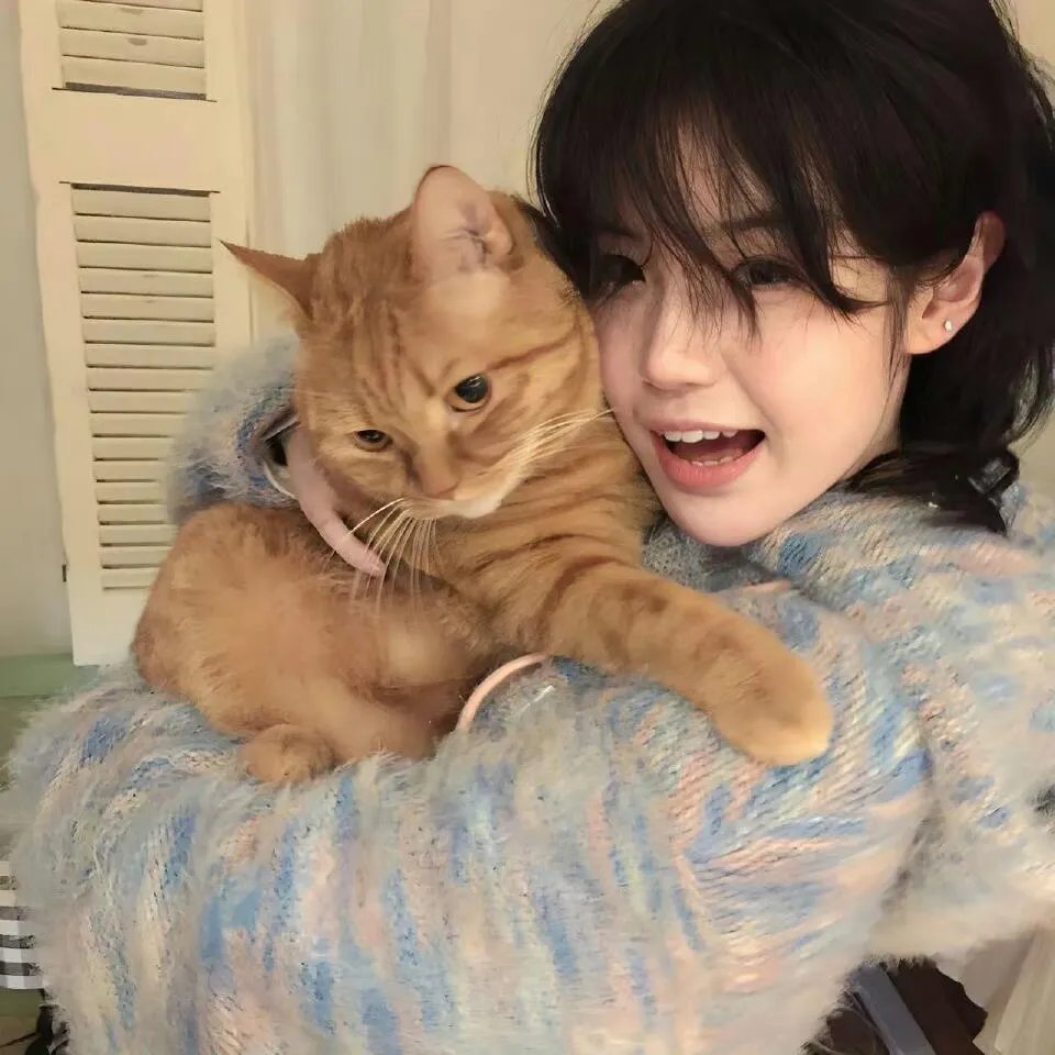 新版《相亲当天豪门继承人拉着我领证》